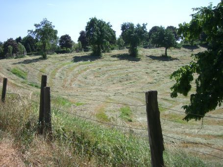 Orsoy : Binsheimerstraße, Wiese am Stadtrand